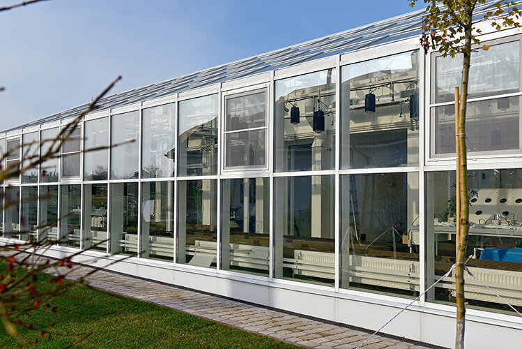 Солнечный вегетарий, материал покрытия - стекло.