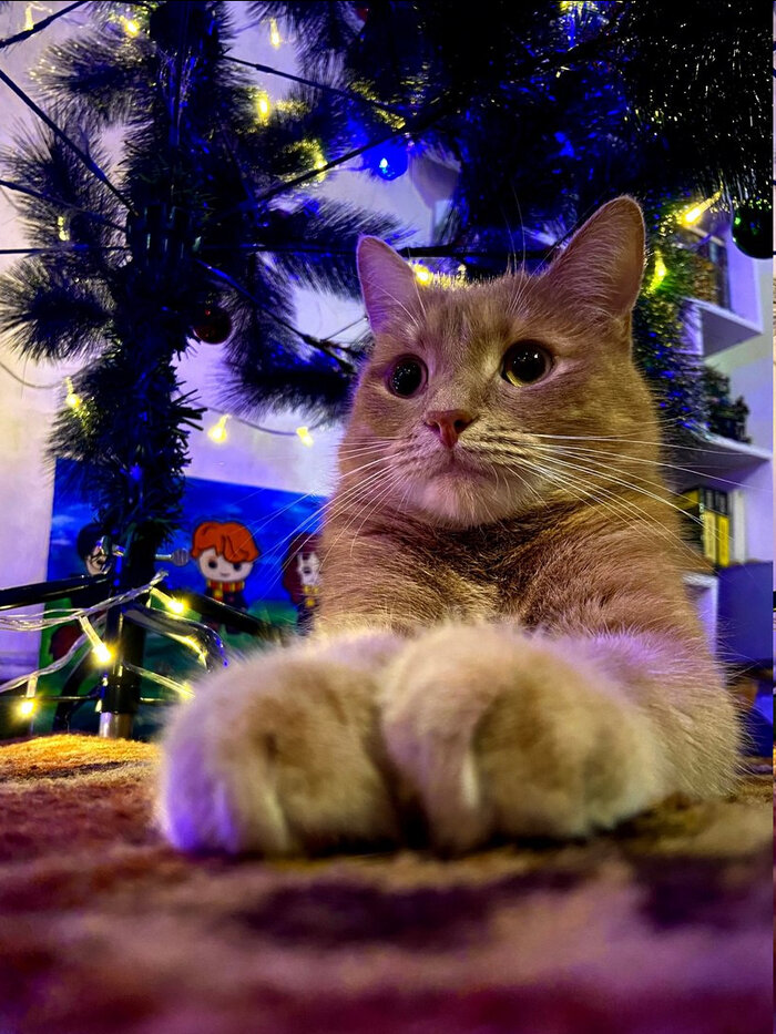 Листайте вправо, чтобы увидеть больше изображений