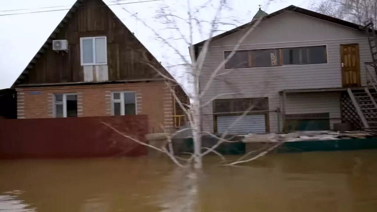 Вода на вес золота 