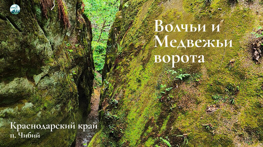 Ущелья Волчьи и Медвежьи ворота - завораживающая красота Краснодарского края