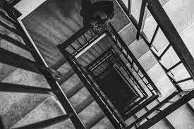 Фото из открытого источника 