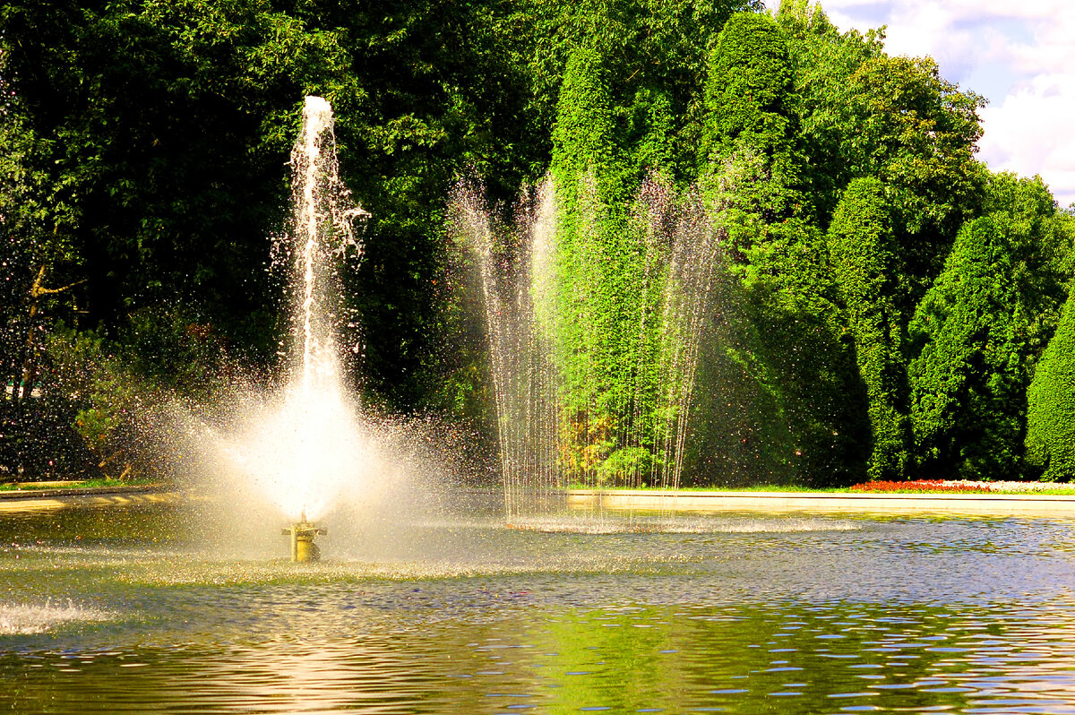 Фото: freepik.com