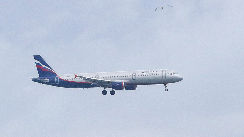   globallookpress.com Petrov Sergey/news.ru