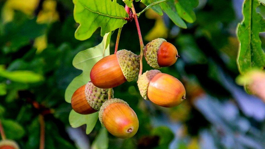 Фото здесь и далее ShutterStock/Fotodom.ru