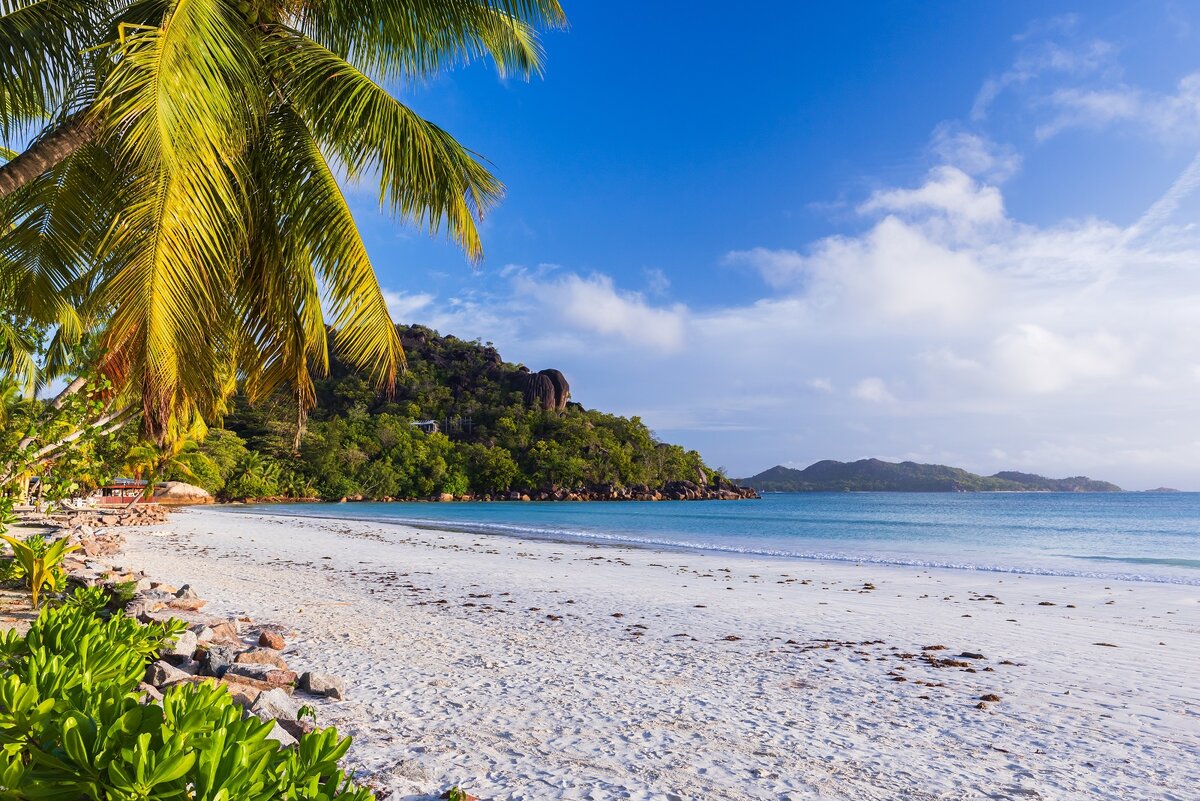 «Мы отдыхали на острове Праслен — это второй по величине остров Сейшел.