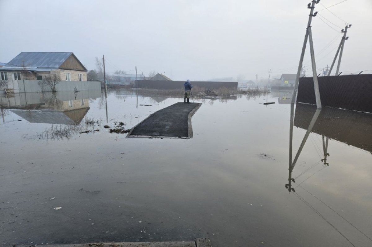 Жители Аренды в Оренбурге сообщают о подъёме воды | АиФ–Оренбург | Дзен