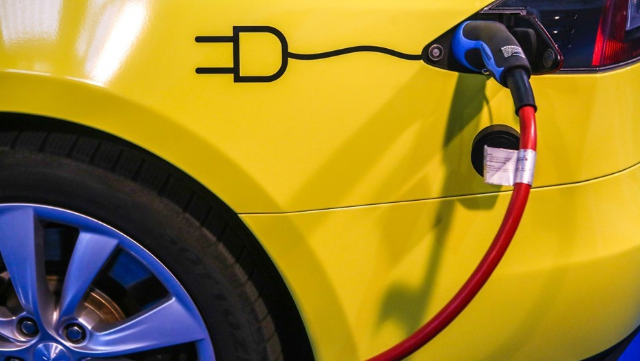 Автор фото: Сергей Коньков 