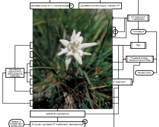 #загадка #задание #ухтышка #головоломка #GrayMage