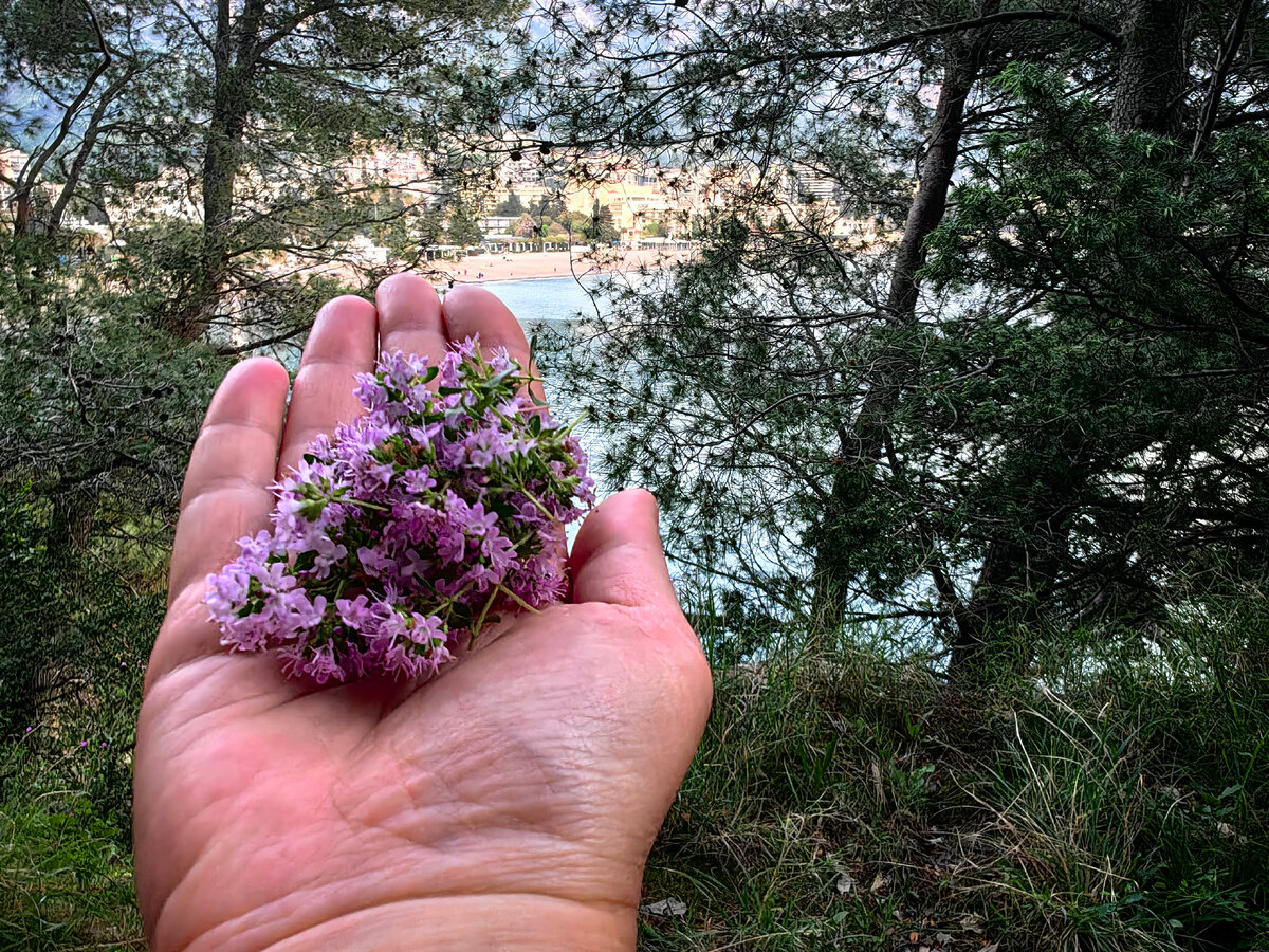 Аромат на ладошке