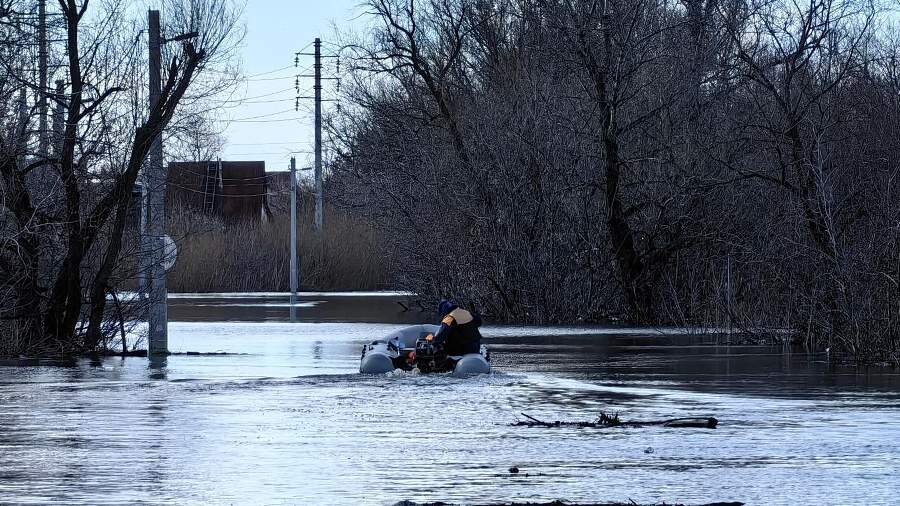 Фото: ИЗВЕСТИЯ