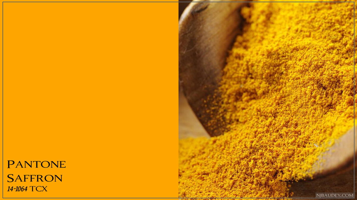 Шафран иран. Шафран вид сверху. Строение шафрана семена. Шафран саргол. Saffron цвет.