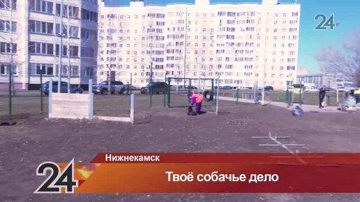 🦮🫢 «Собачьи подснежники»: собаководы Нижнекамска вышли на уборку