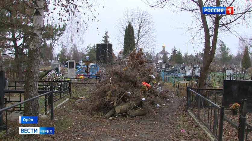 Фото: сайт "Вести-Орел"