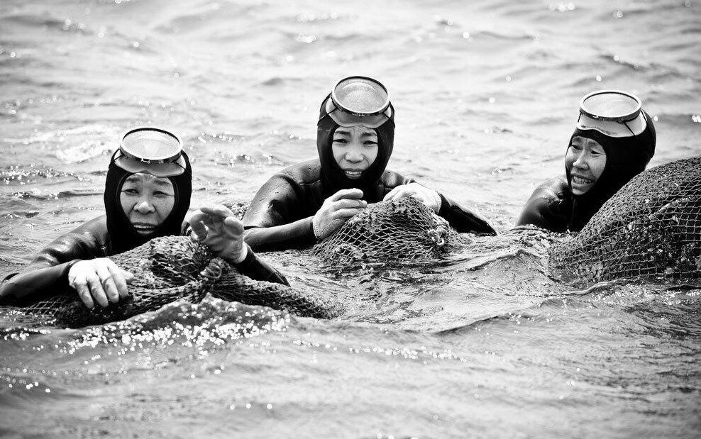 Ныряльщицы