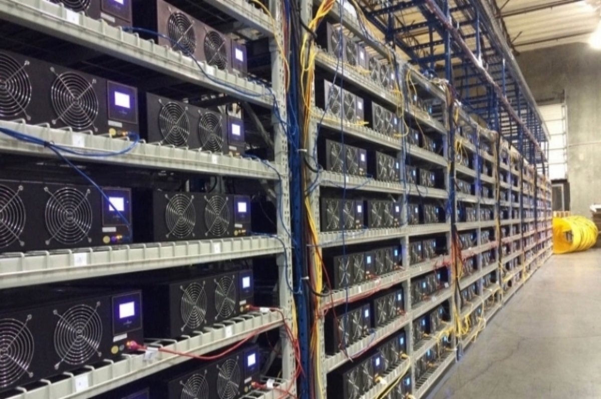    Под Волгоградом на агропромышленном комплексе мычали вовсе не буренки