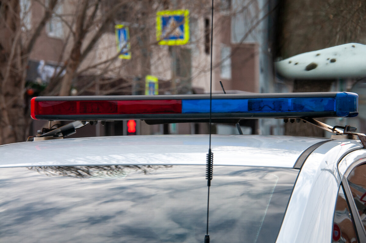 Svetlana Vozmilova/Global Look Press