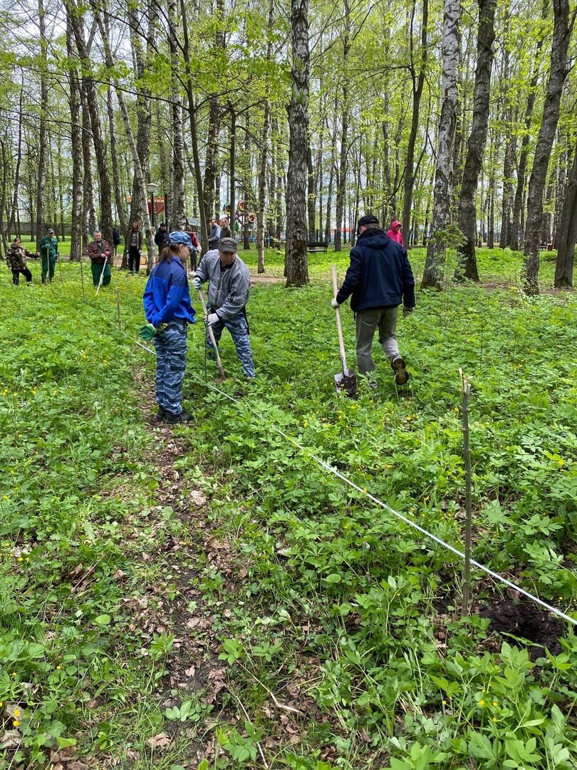 Посадка деревьев в парке. Фото из официальной группы ВК АНО "К-33"
