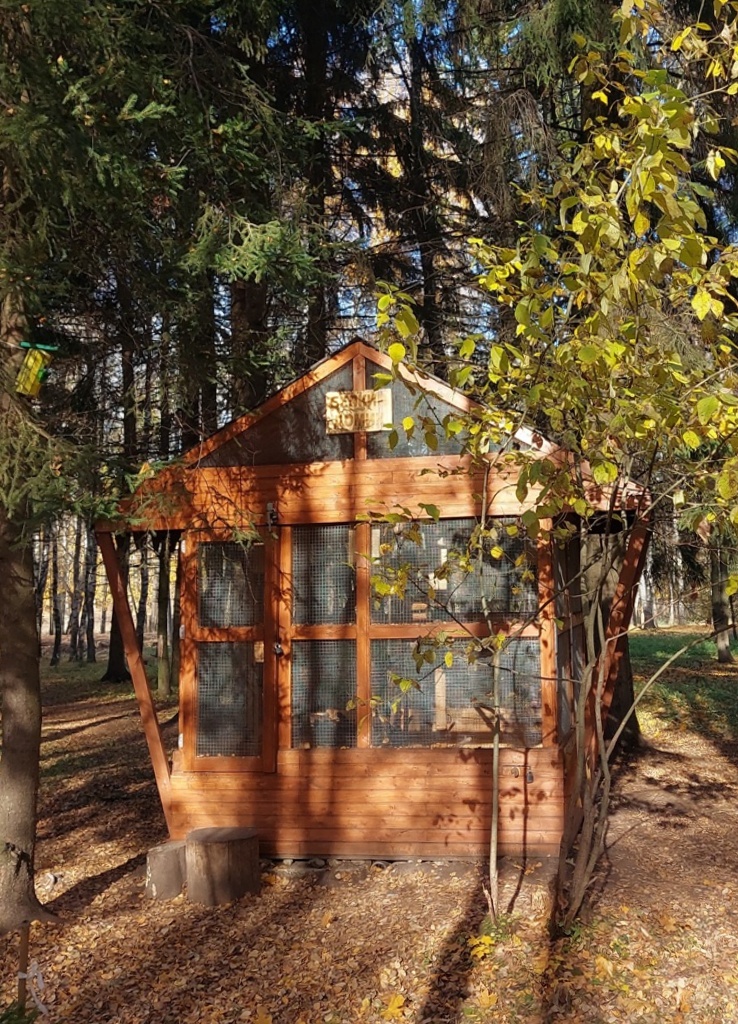 вольер для белочек