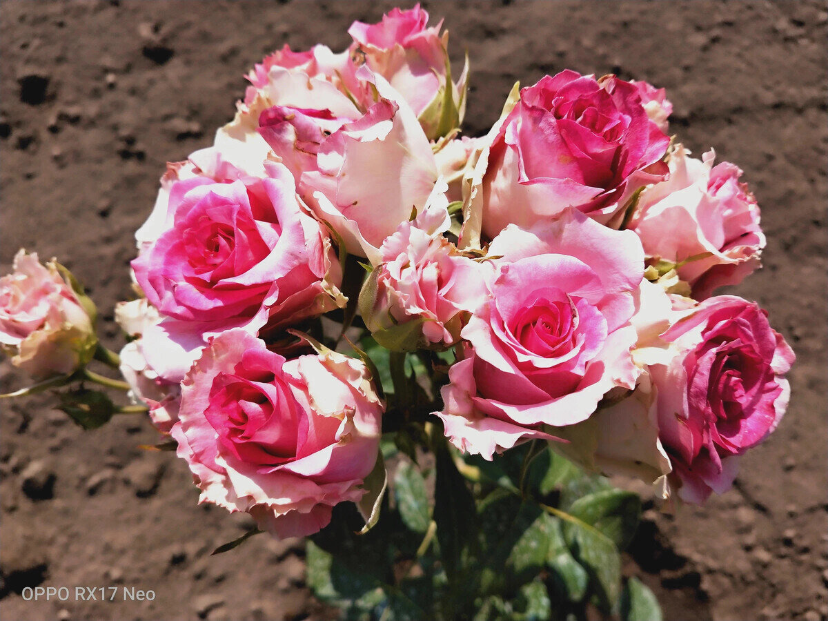 фото Татьяны