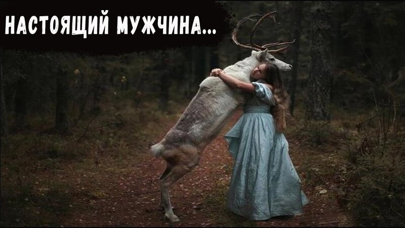 Изображение с сайта imghub.ru