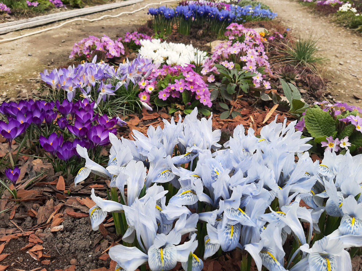 Бардак упорно попадал в кадр