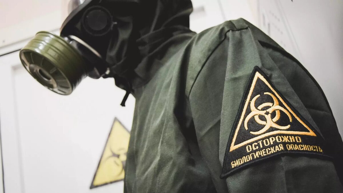     Источник: 1MI