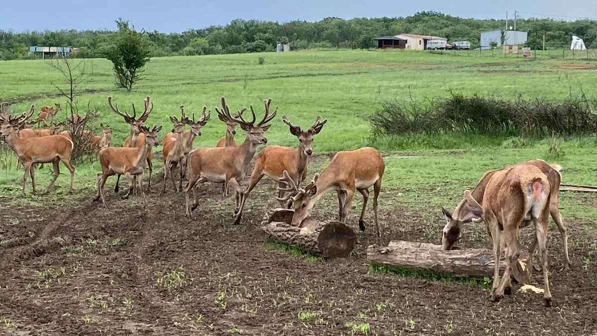     Автор: donland.ru