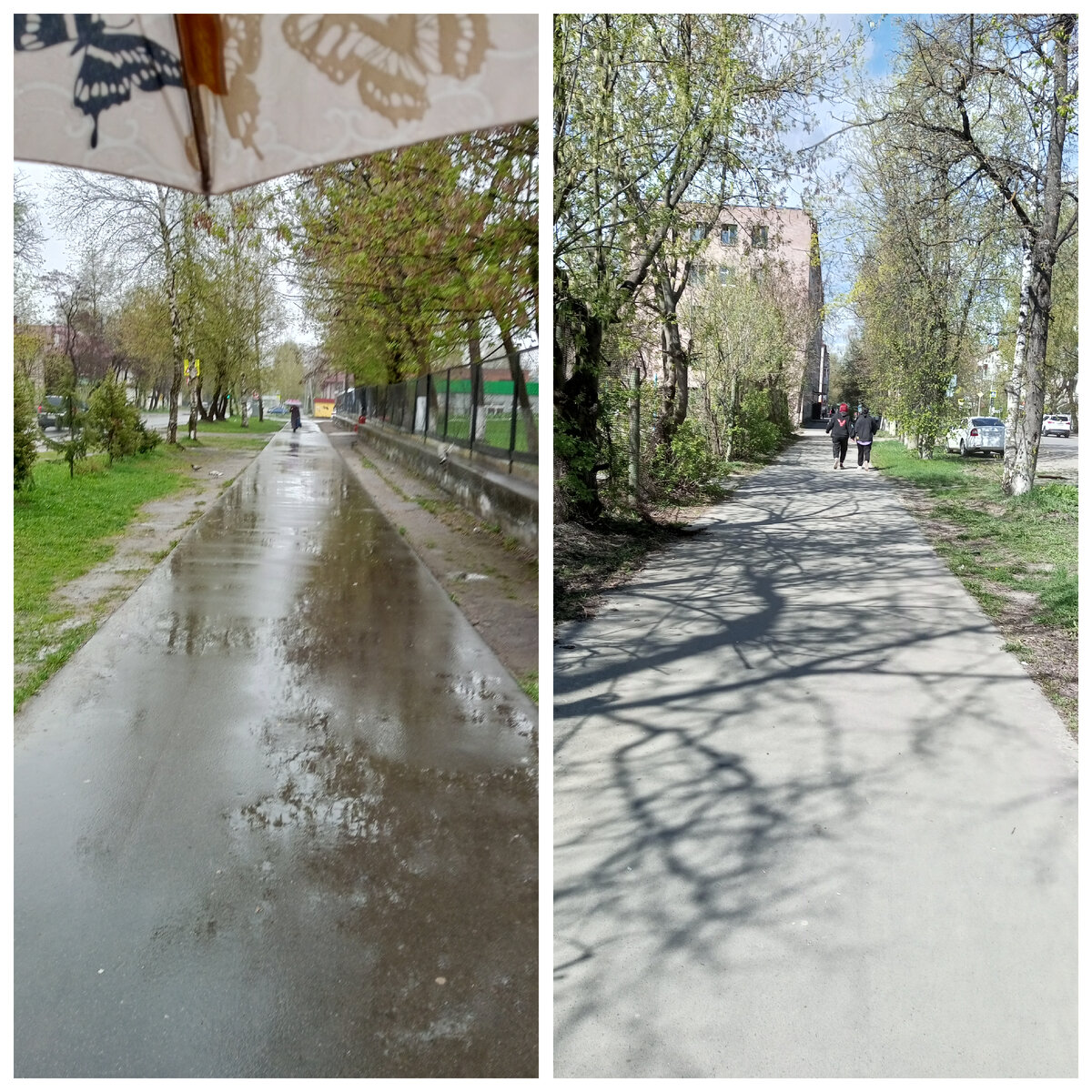 Сегодня и позавчера