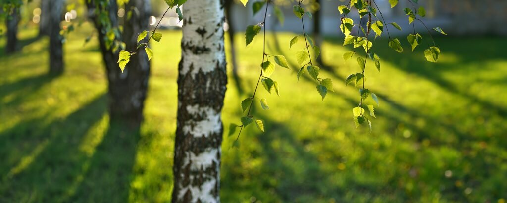    Фото Shutterstock