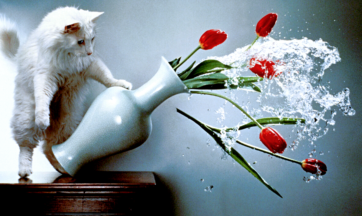 Источник фото: m.fishki.net