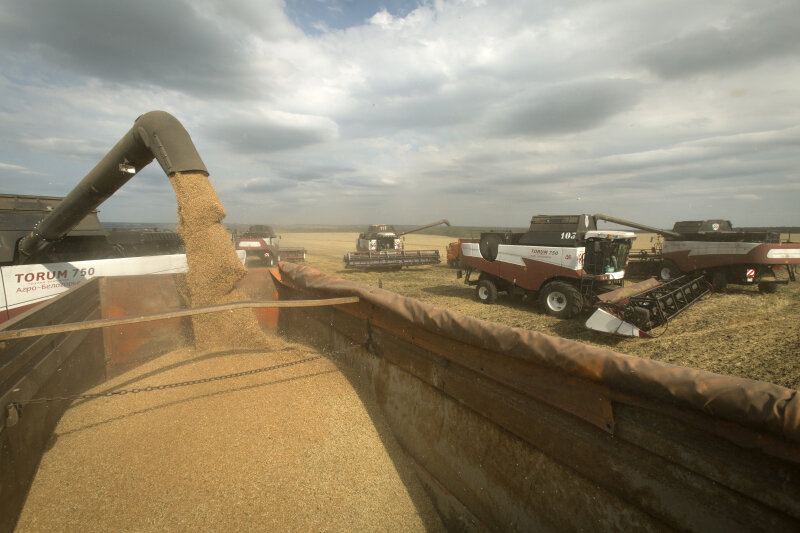    Фото: Nikolay Gyngazov/globallookpress