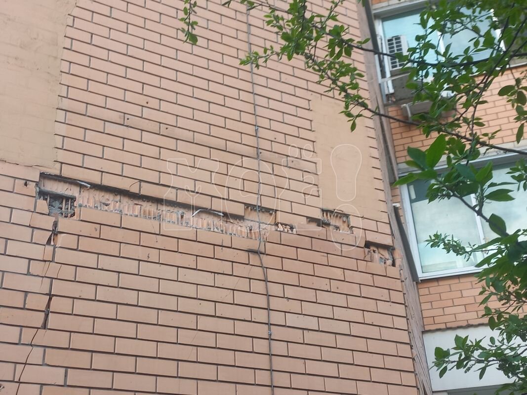      Фото: читатель "МОЁ!"