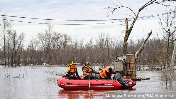     Фото: Максим Богодвид/РИА Новости   
 Текст: Валерия Городецкая