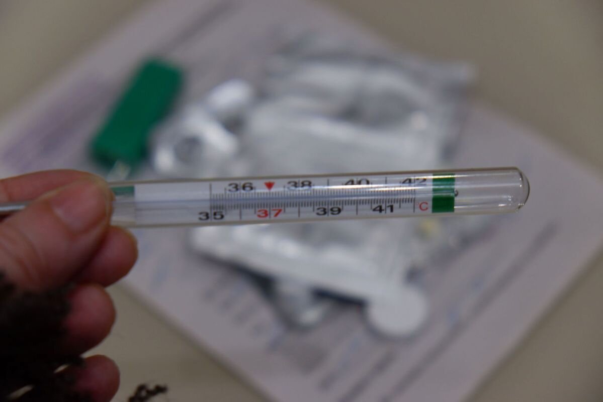 Фото: Е. Зимней