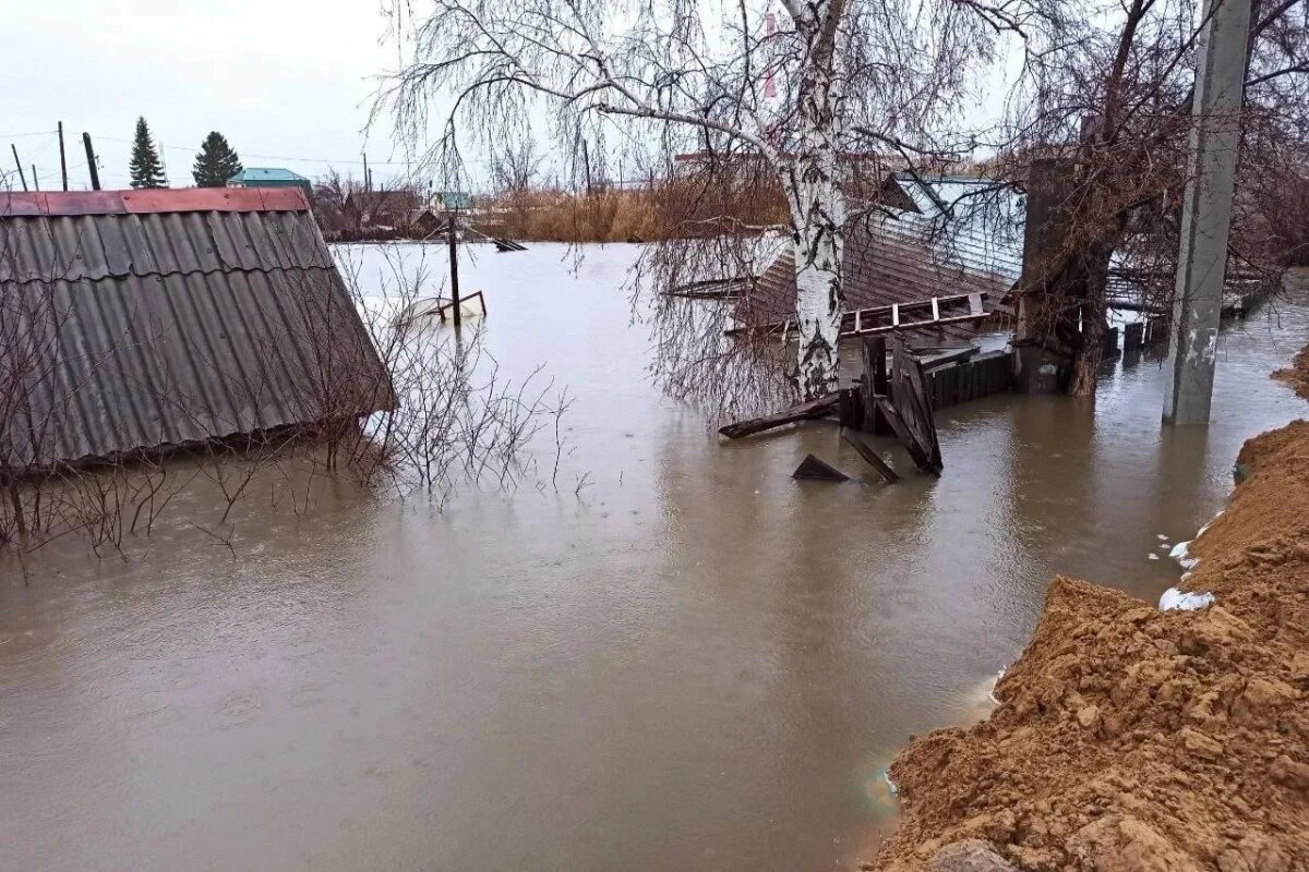 Уровень реки Тобол вблизи кургана. Фото из сетей интернета