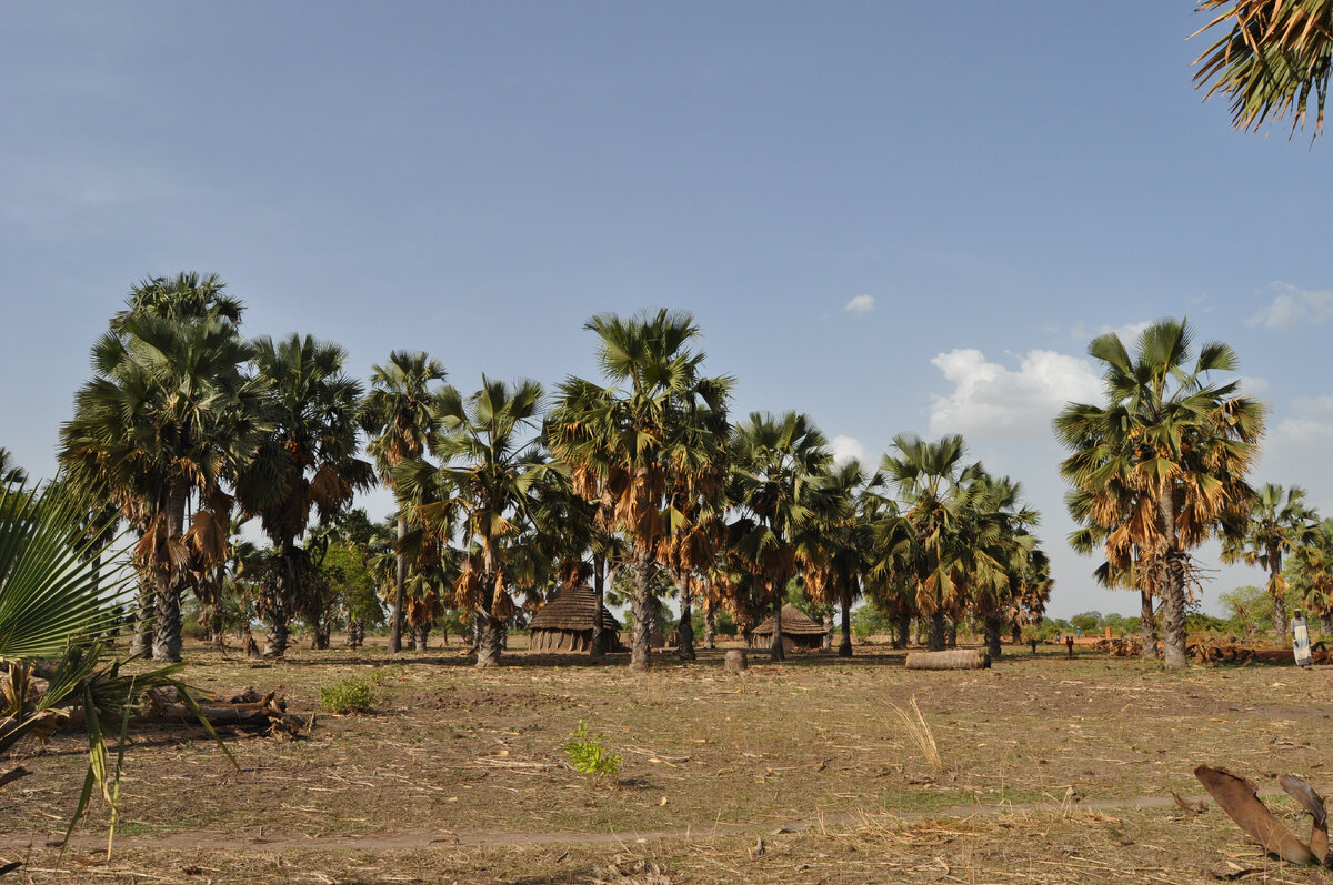 Африканская деревня