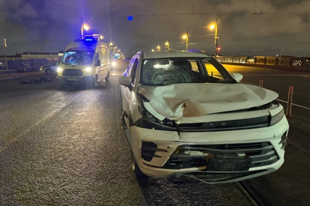    Мужчину, насмерть сбившего охранника на Литейном мосту, отправили в СИЗО