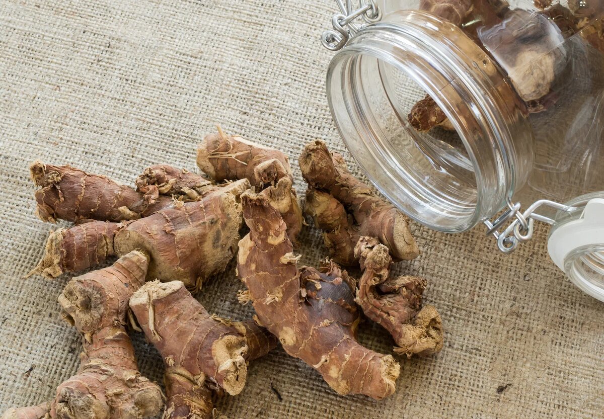 Корень калгана для мужского здоровья