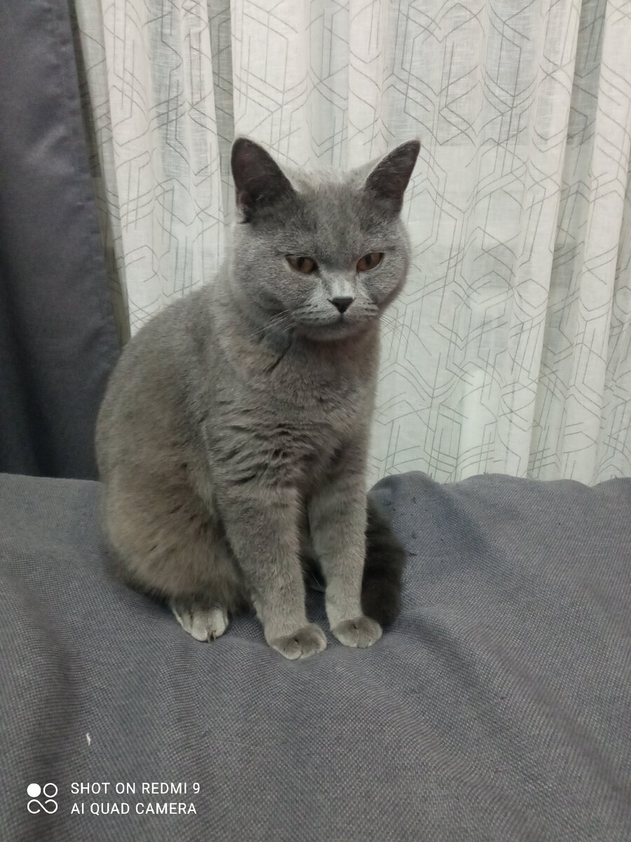 Марсик