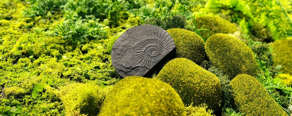    Фрагмент керна из скважины Восточно-Мессояхского месторождения. Фото Марии Канаевой