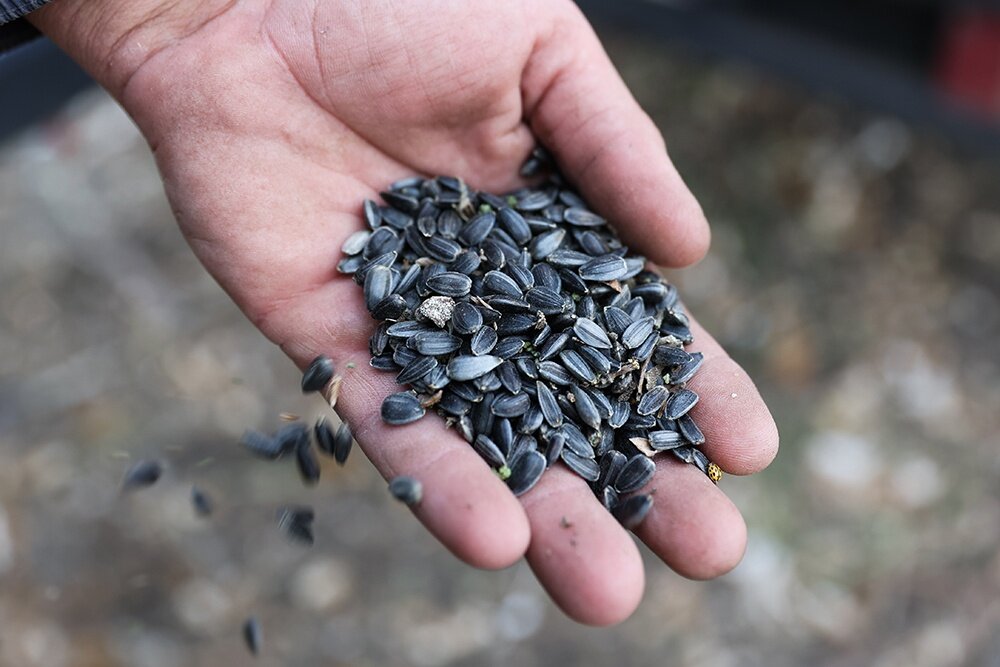     Фото: РИА Новости