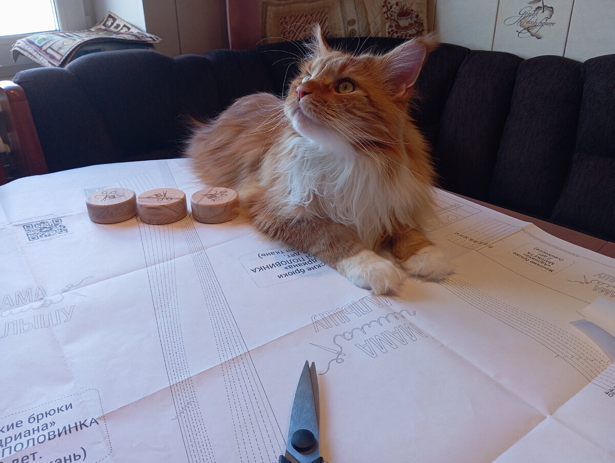 Мейн кун Степа.