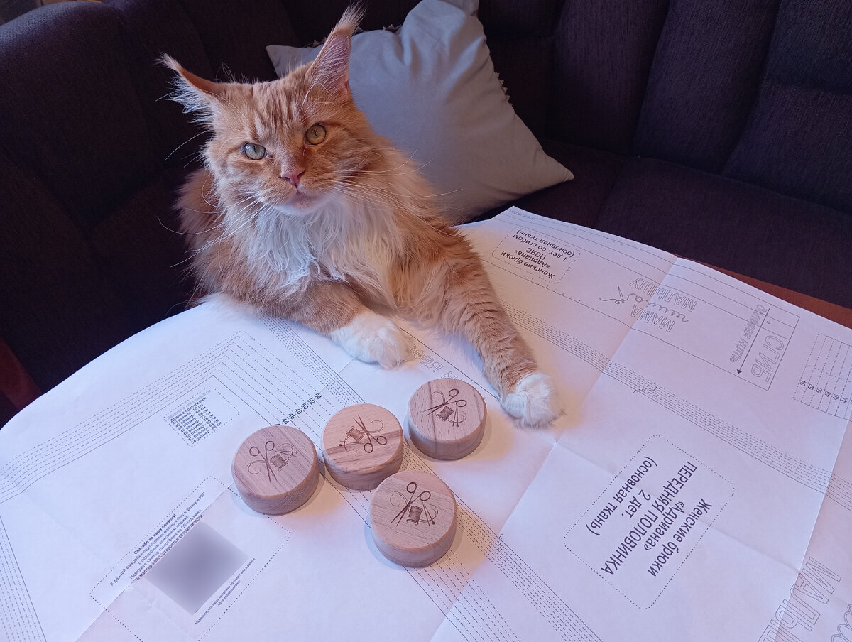 Мейн кун Степа.