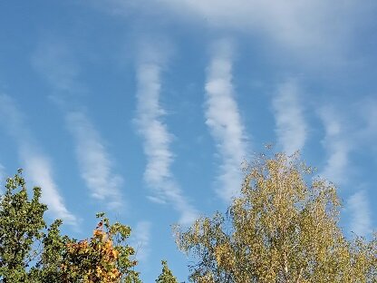 Фотография из личного архива автора