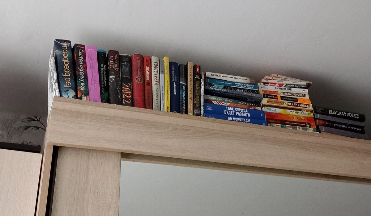 Мои непрочитанные книги. Их так много - и они очень активно пополняются, - что ставить их уже не куда. Пришлось сложить на шкаф. 