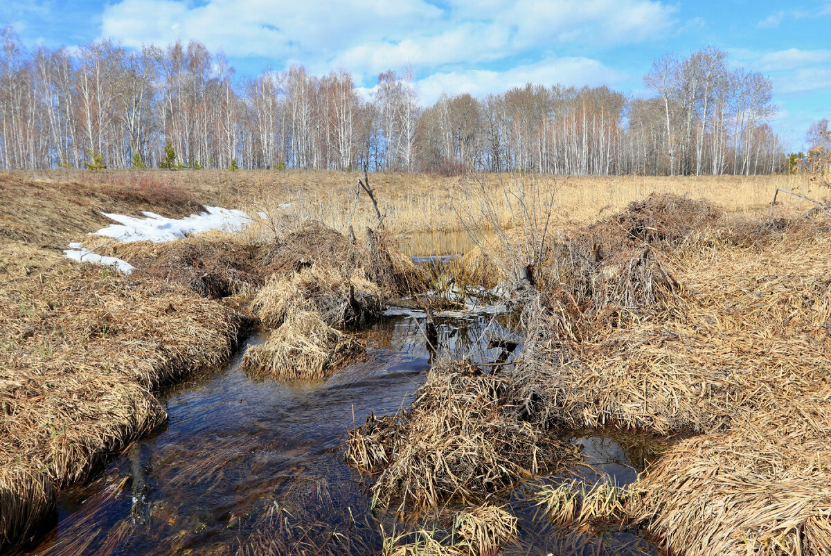 Речка Межовка даже в период половодья не впечатляет, а летом и вовсе полностью скрывается в зарослях травы и камыша, едва не пересыхая