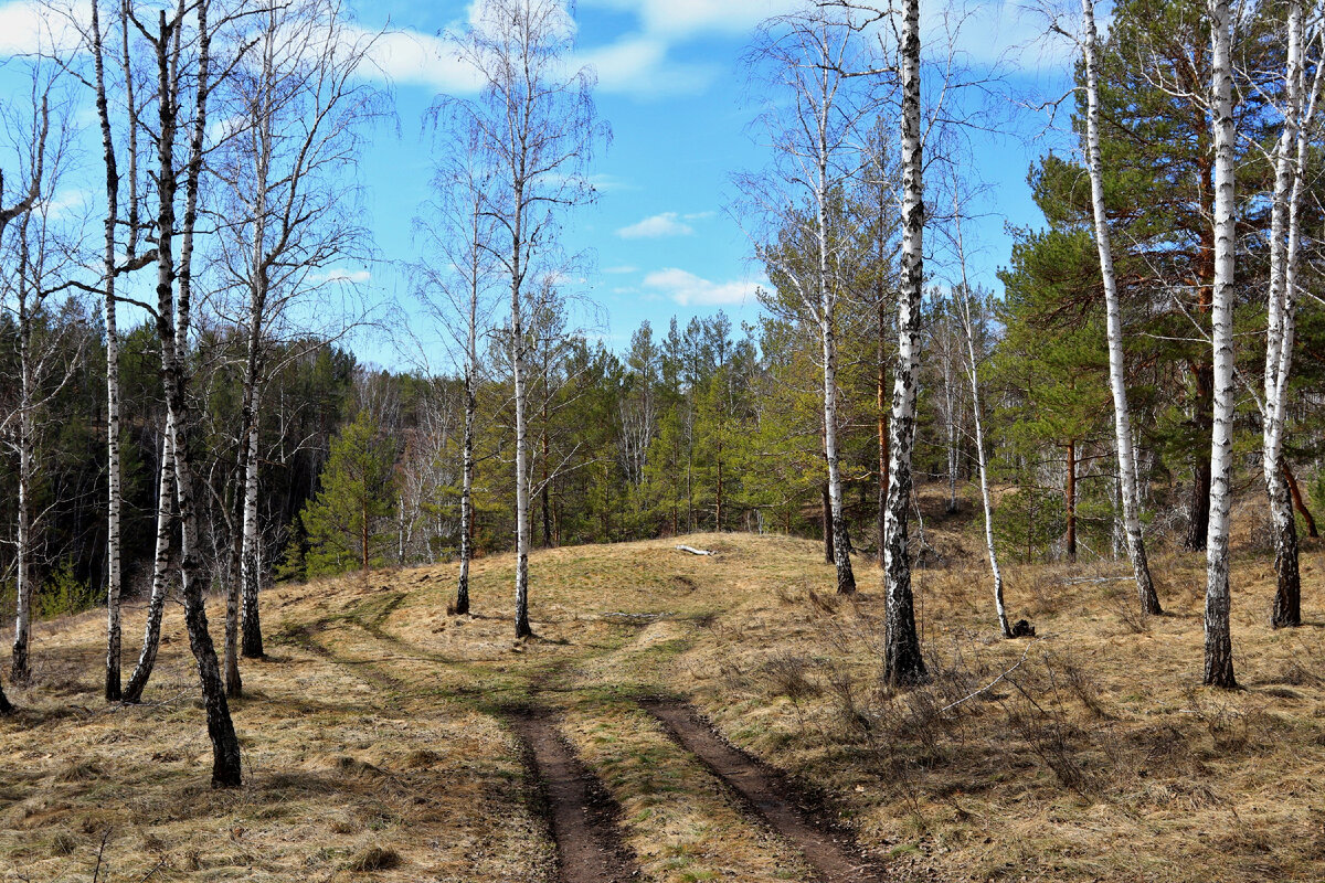 На высоком берегу реки Багаряк близ устья Межовки