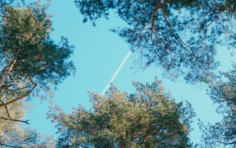    Погода в Ижевске на день: 18 апреля ждем дожди и +16°С