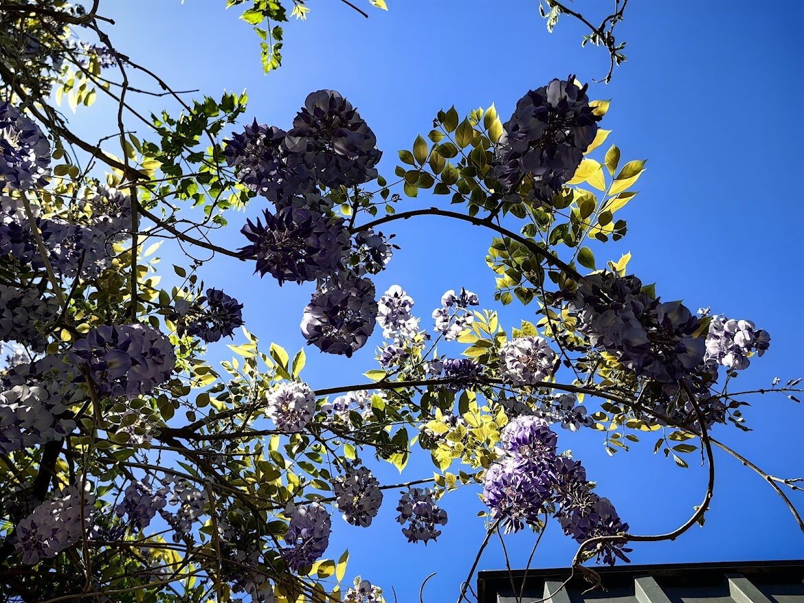 Так и шепчет "Съешь меня!" 