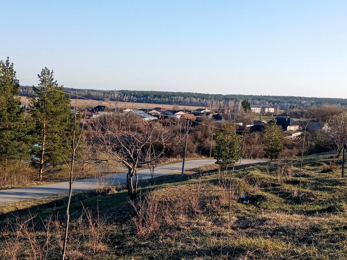 Прогулка на природе успокаивает. 